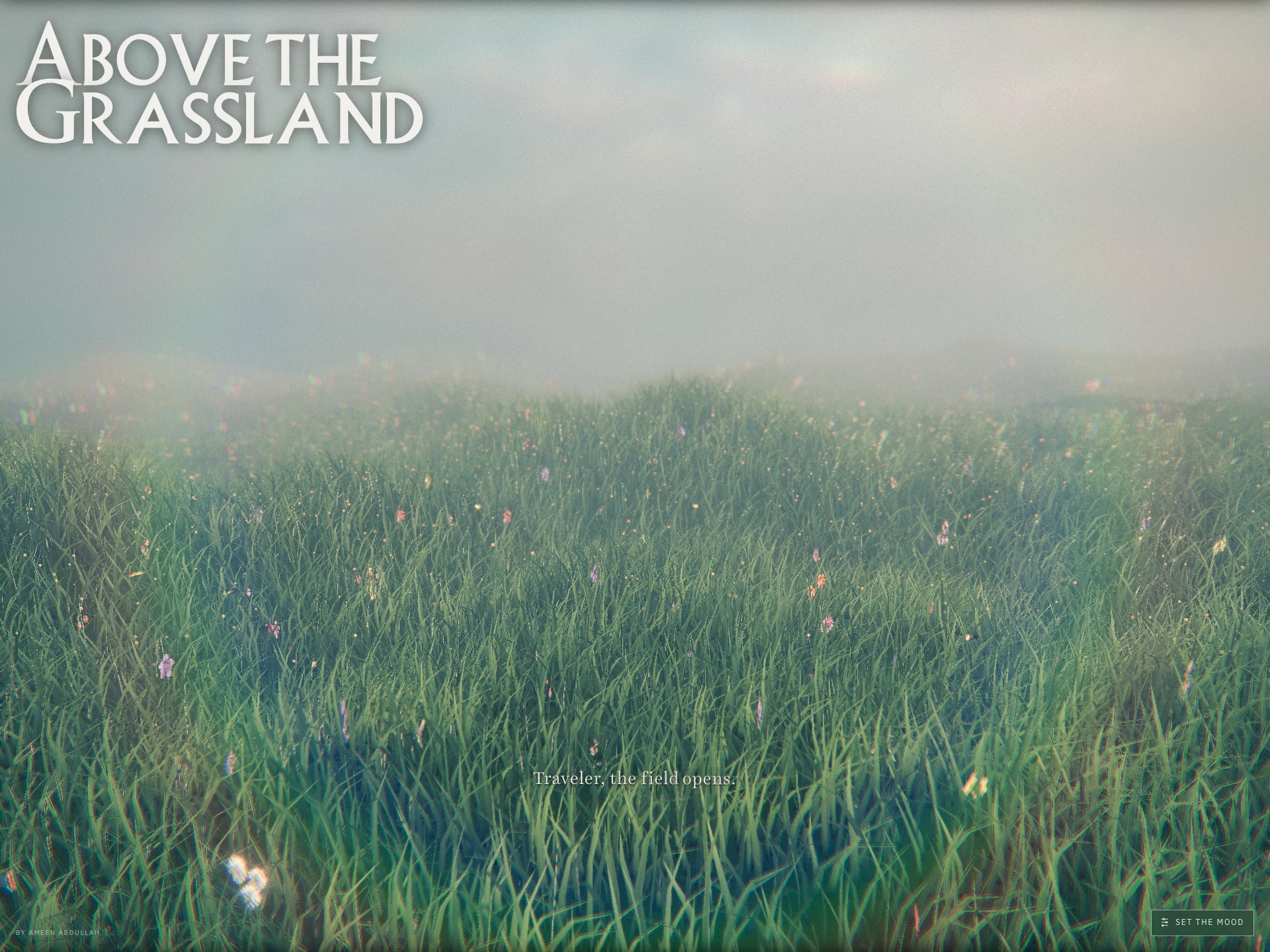 Above the Grassland | A Calming Cinematic Escape